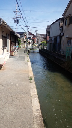 IMG_20180617_091308_コピー