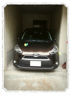 IMG_20180619_213426_コピー