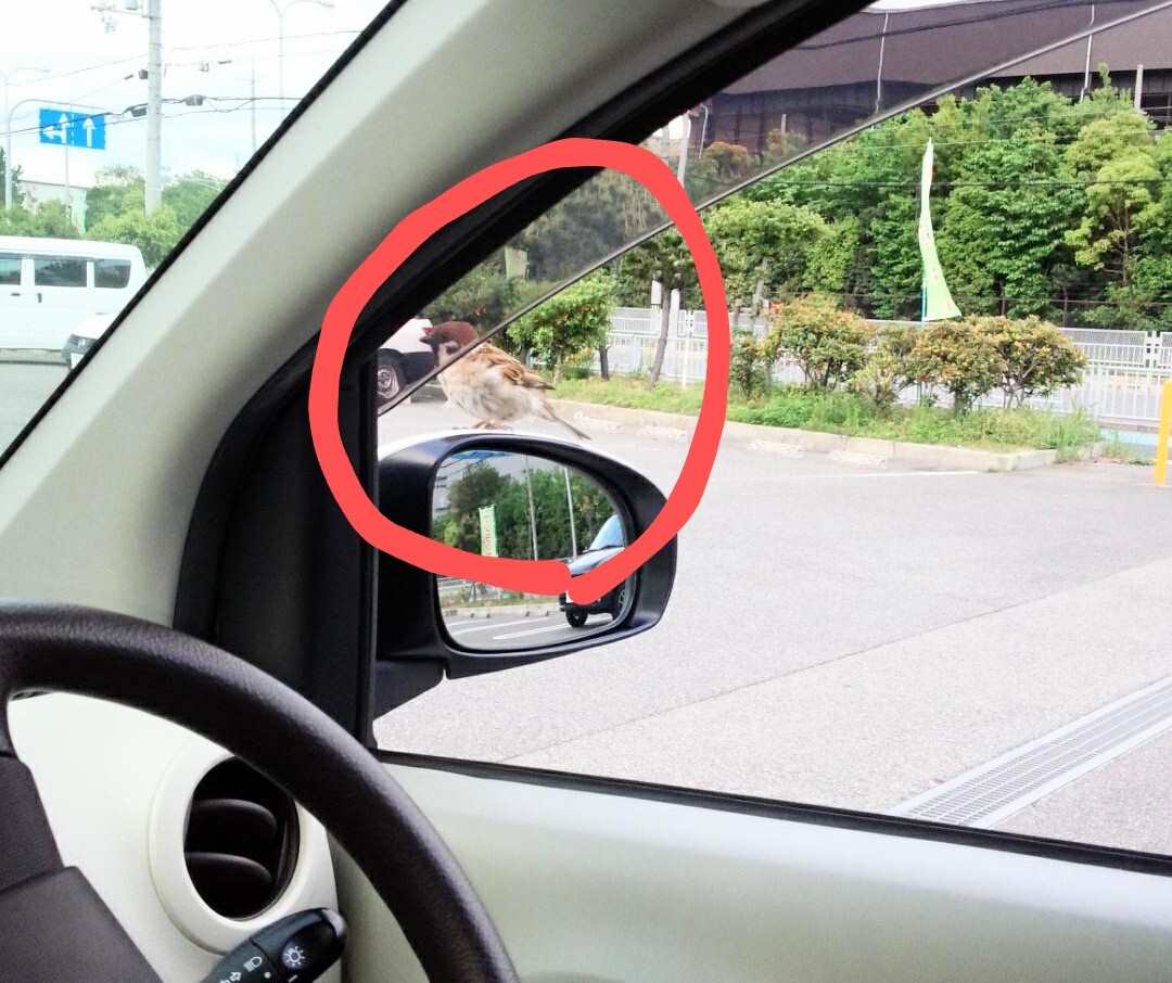 IMG_20170504_180714~2