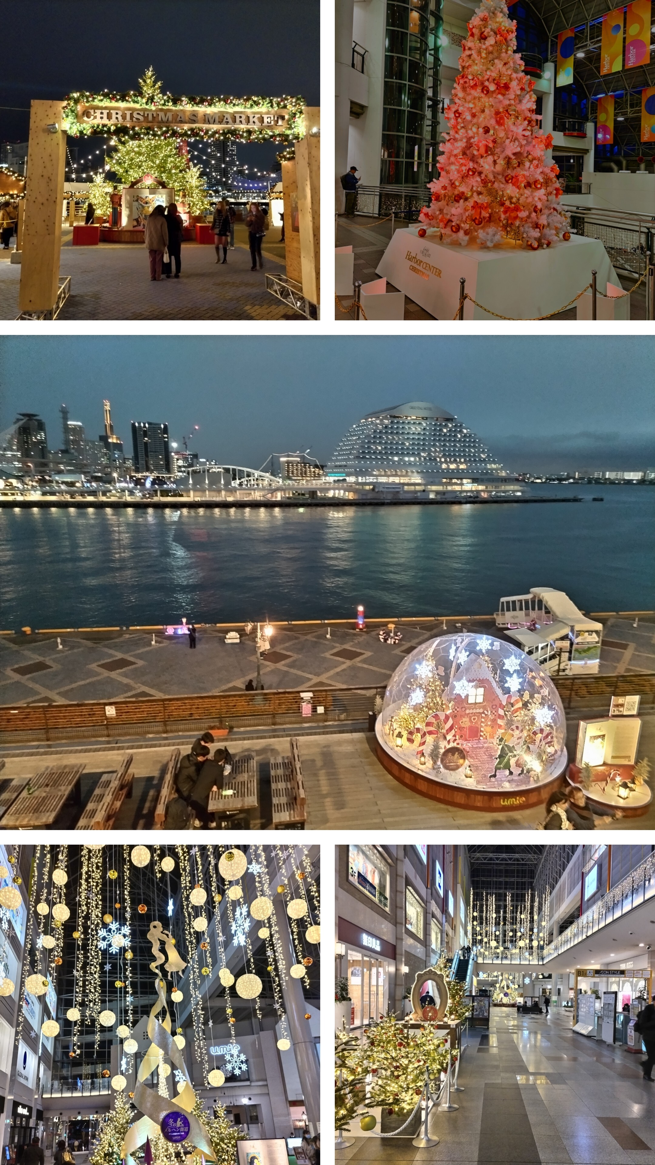 20231219_193906-COLLAGE