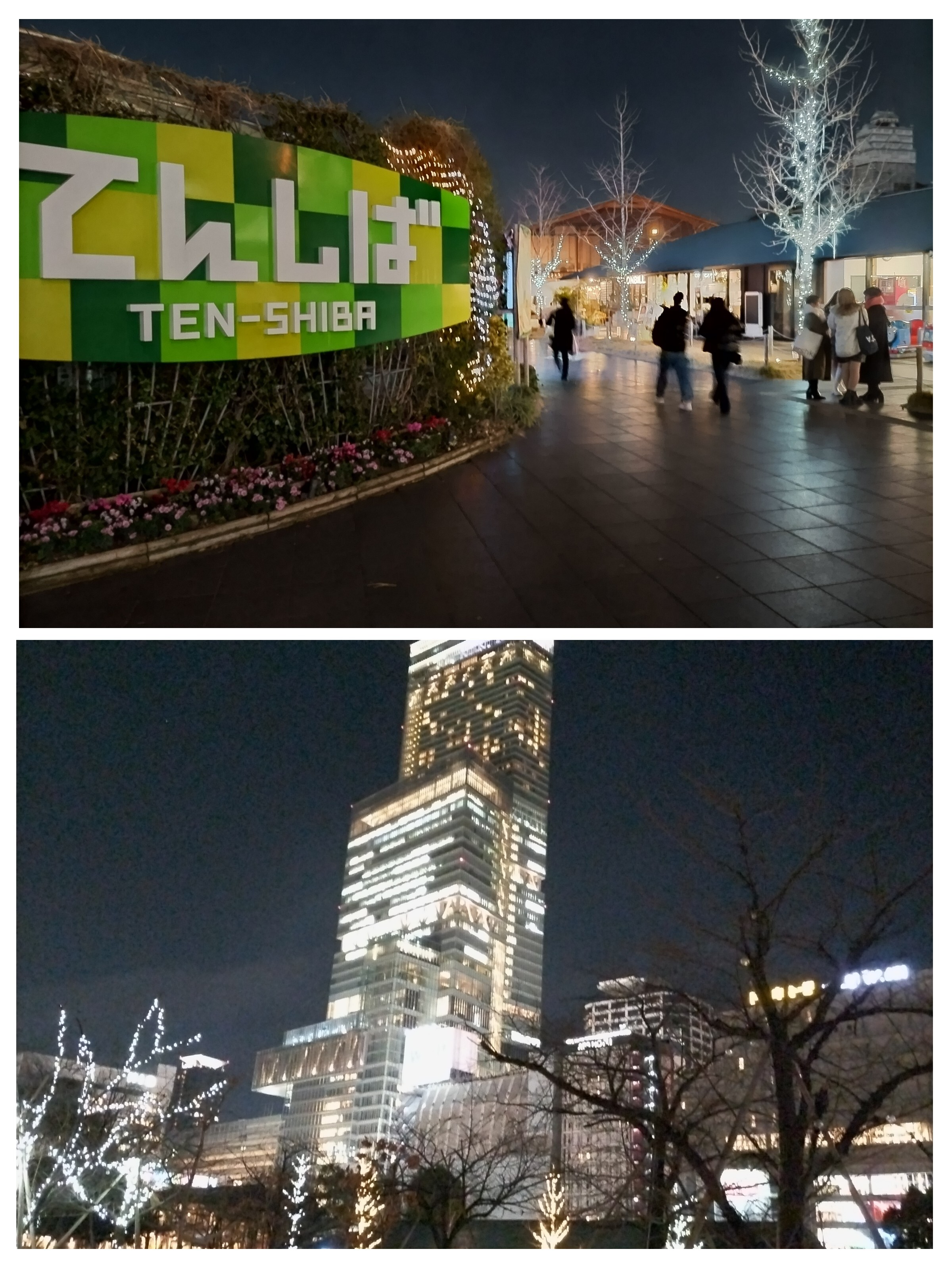 20231227_210800-COLLAGE