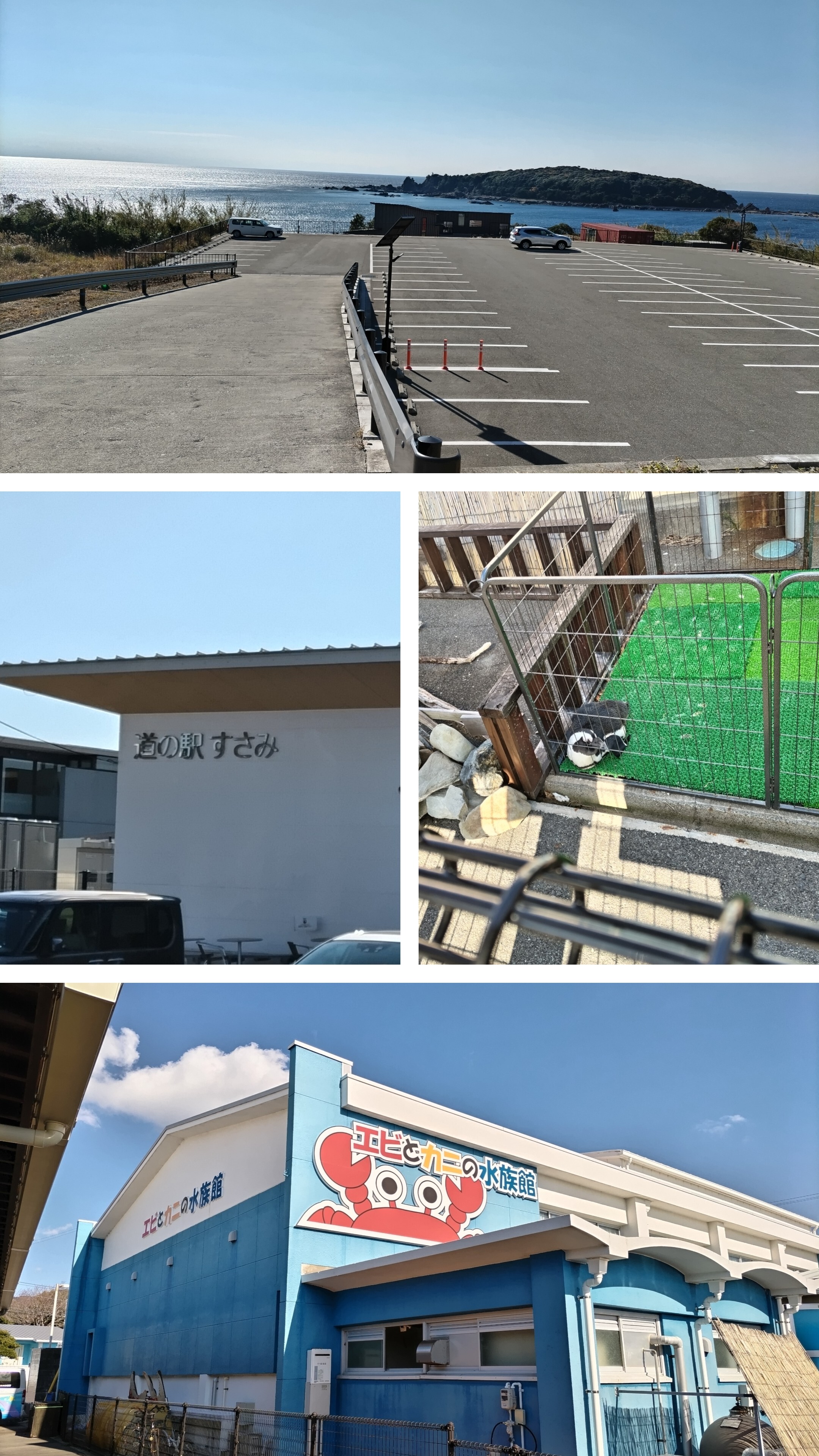 20240109_191212-COLLAGE