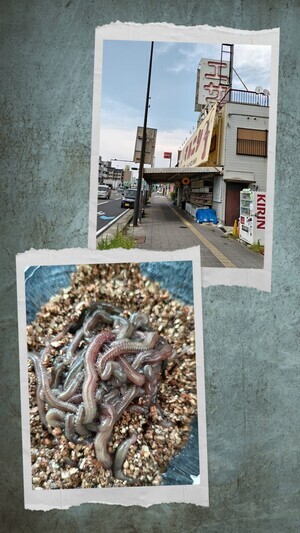 20240805_164214-COLLAGE_コピー