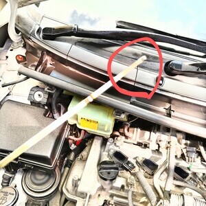 DSC_0598~2_コピー