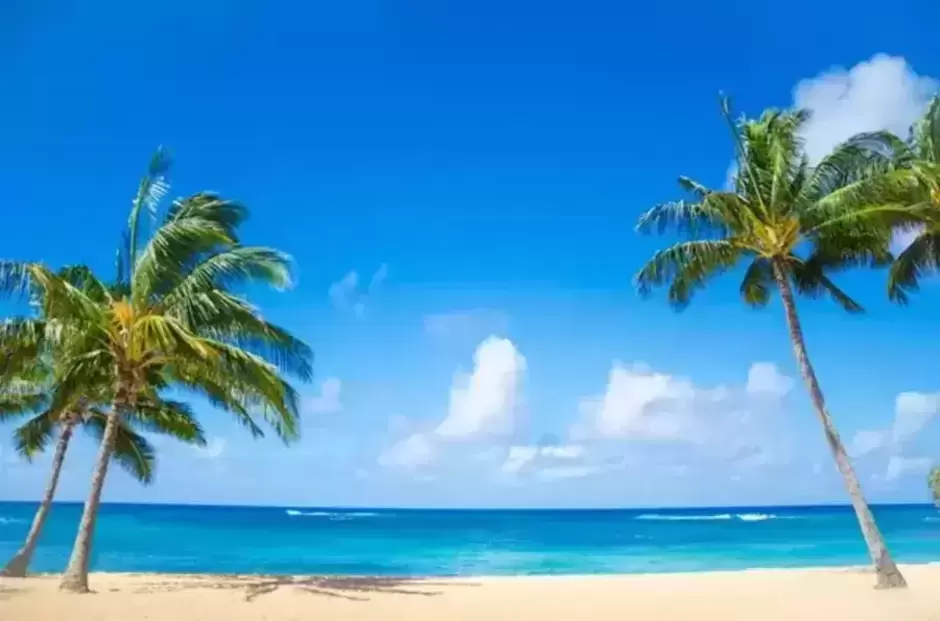 海