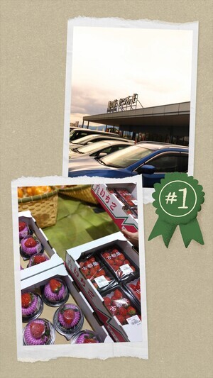 20241231_142155-COLLAGE_コピー