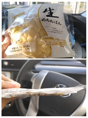 20241229_091724-COLLAGE_コピー