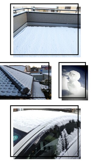 20250224_083739-COLLAGE_コピー