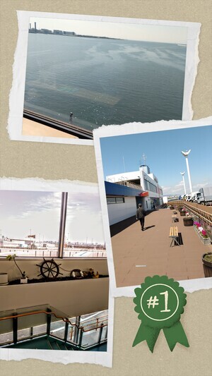 20250321_054125-COLLAGE_コピー