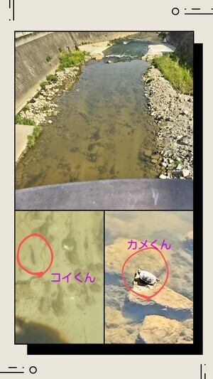 20250427_174509-COLLAGE_コピー