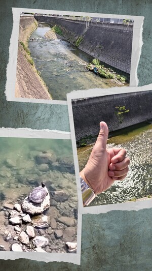 20250503_112855-COLLAGE_コピー