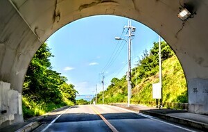 DSC_1162~2_コピー