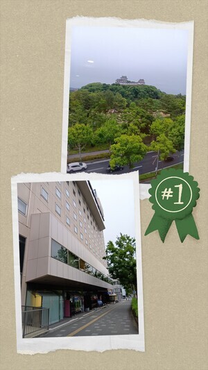 20250530_073115-COLLAGE_コピー