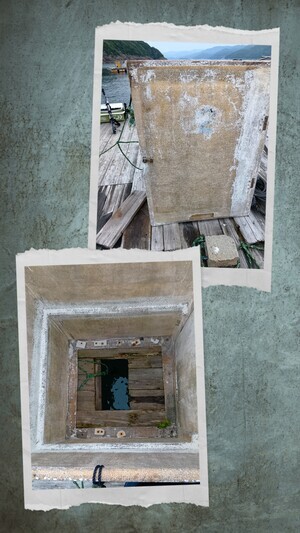 20250529_184107-COLLAGE_コピー