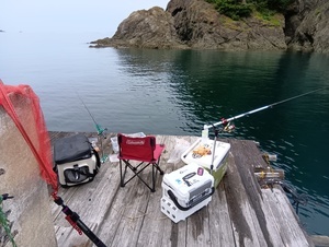 250529073449801_コピー