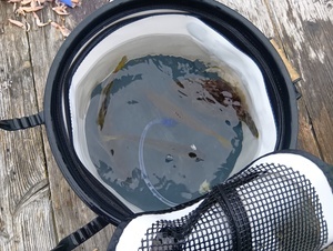 250529121746382_コピー