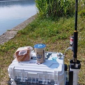 250604083644618_コピー