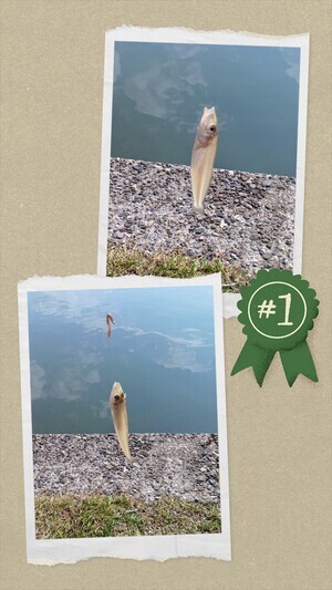 20250604_140223-COLLAGE_コピー