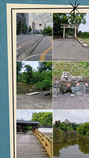 20250604_085308-COLLAGE_コピー