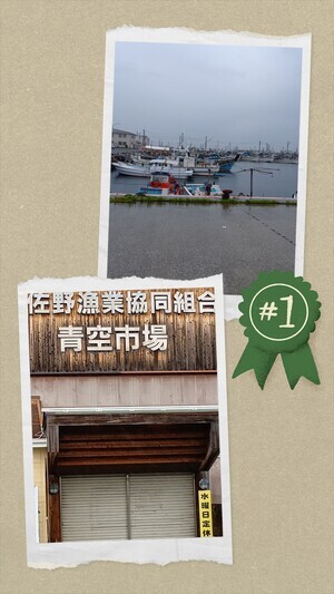 20250611_101012-COLLAGE_コピー