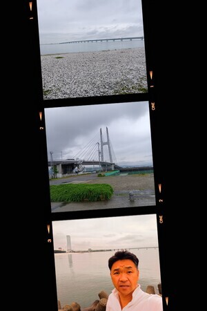 20250611_084813-COLLAGE_コピー