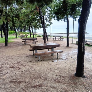 250611073913658_コピー