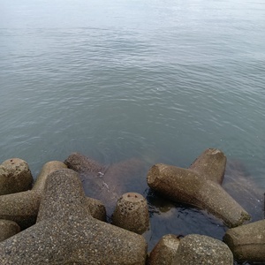 250611074449983_コピー