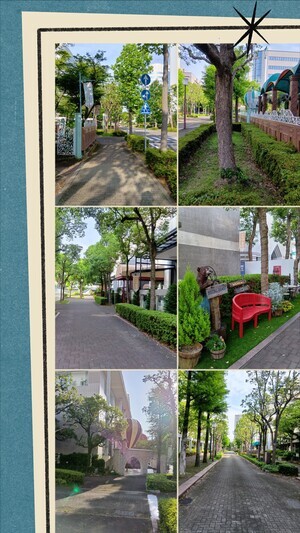 20250618_072104-COLLAGE_コピー