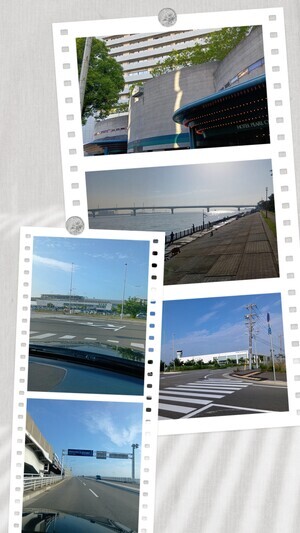 20250618_072317-COLLAGE_コピー