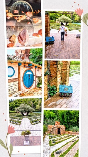 20250624_150909-COLLAGE_コピー