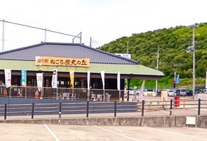 250711104201225_コピー