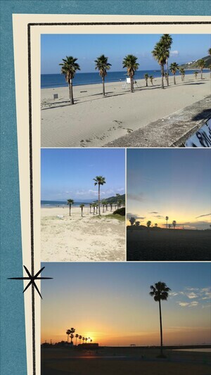 20250803_190225-COLLAGE_コピー