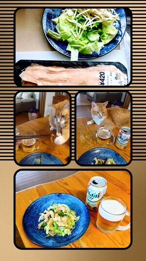 20250812_143114-COLLAGE_コピー
