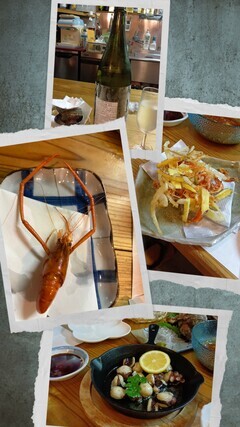 20250819_115811-COLLAGE_コピー