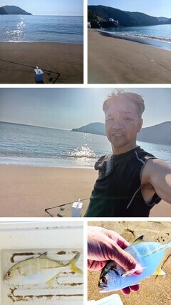 20250820_064343-COLLAGE_コピー