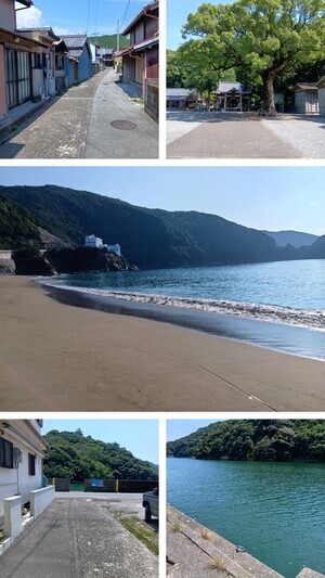 20250820_071924-COLLAGE_コピー