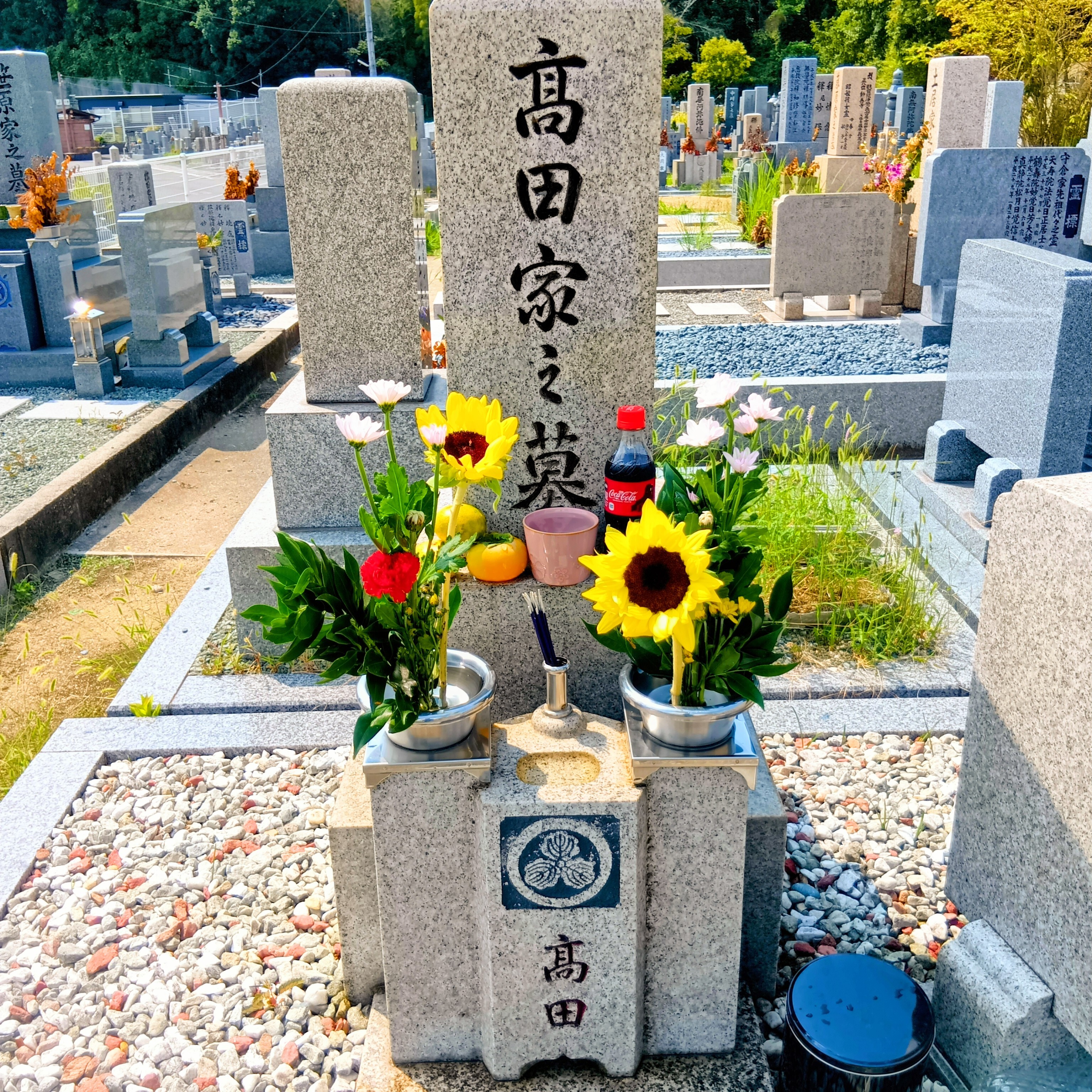 250916124630269~2
