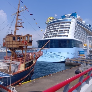 250917115314736_コピー