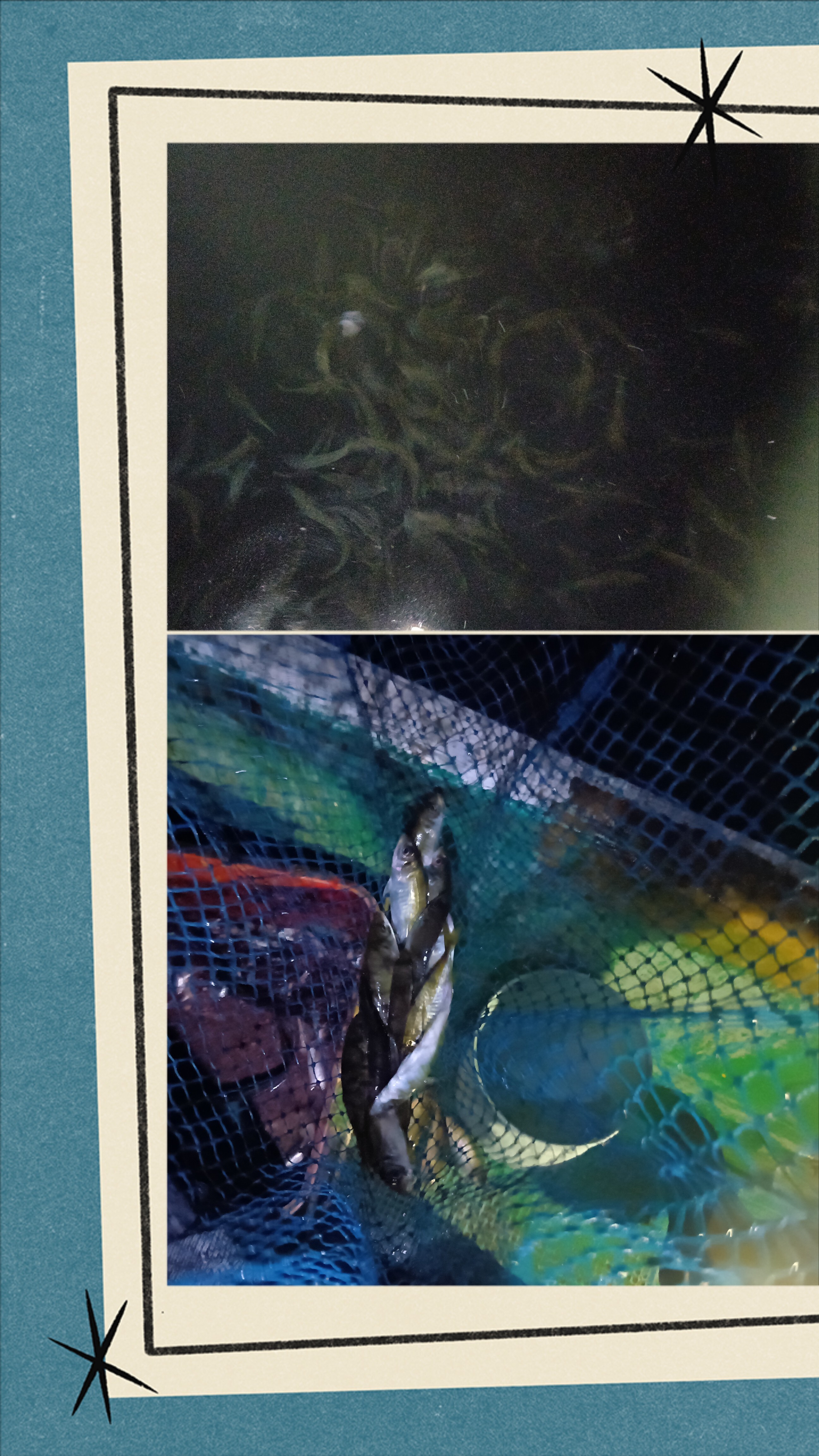 20250924_230215-COLLAGE