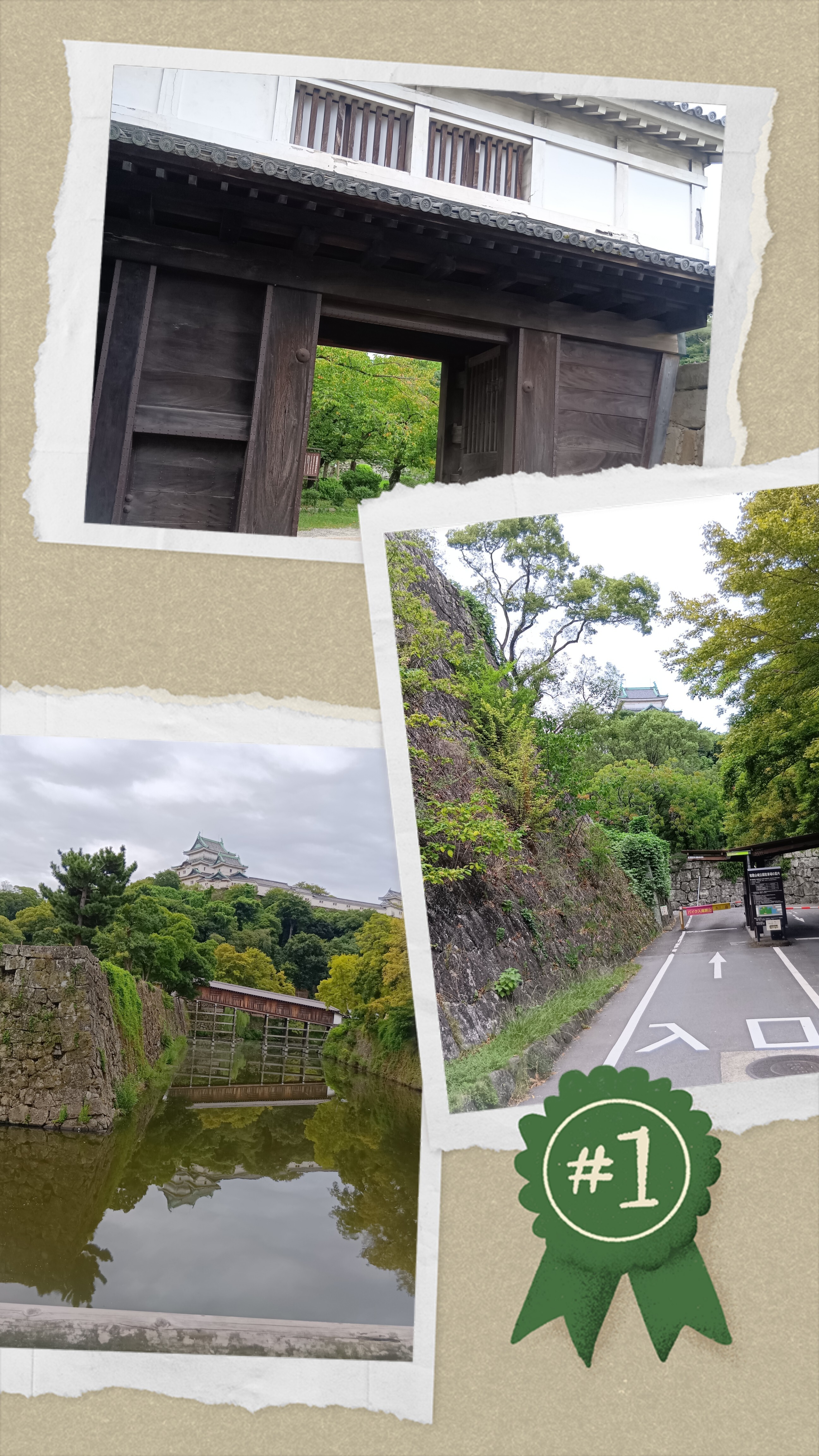20250925_074333-COLLAGE