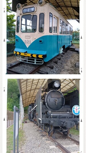 20250925_074247-COLLAGE_コピー