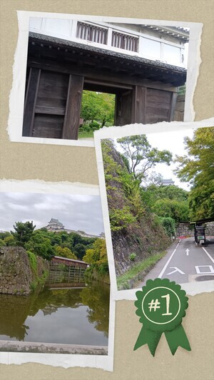 20250925_074333-COLLAGE_コピー