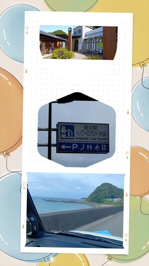 20250925_045003-COLLAGE_コピー