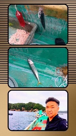 20250924_230648-COLLAGE_コピー