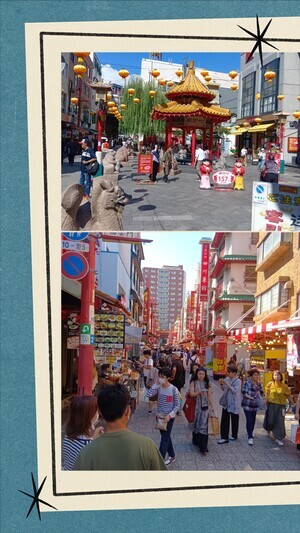 20251007_194612-COLLAGE_コピー