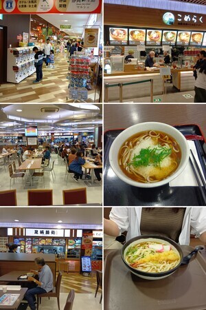 20251020_051532-COLLAGE_コピー