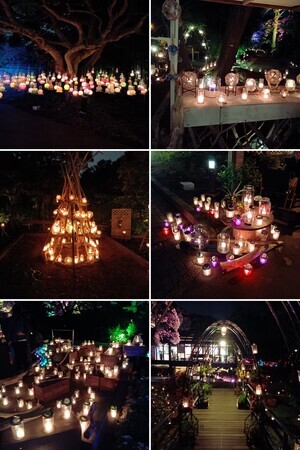 シーキャンドル②