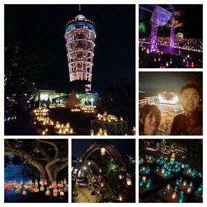 シーキャンドル①