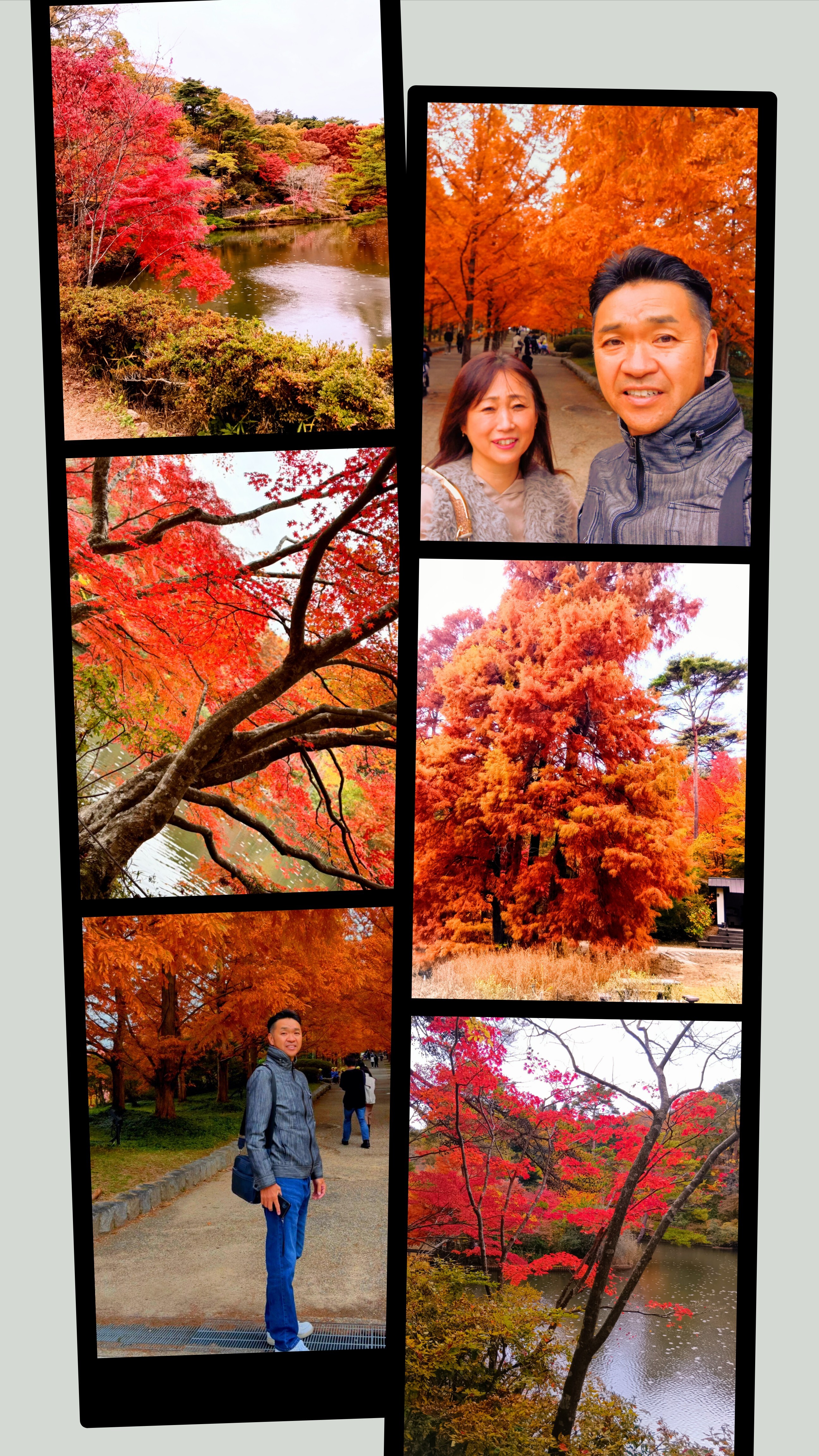 20251118_143245-COLLAGE