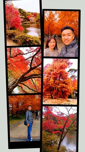 20251118_143245-COLLAGE_コピー